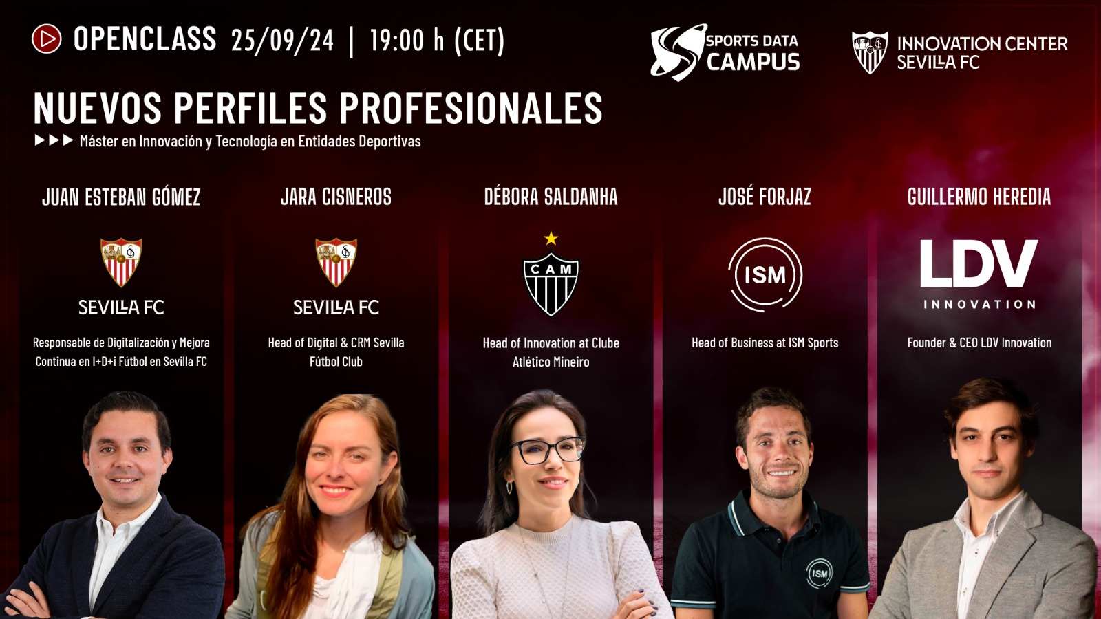 NUEVOS PERFILES PROFESIONALES PC