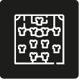 Alianzas