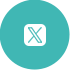 X-ICON